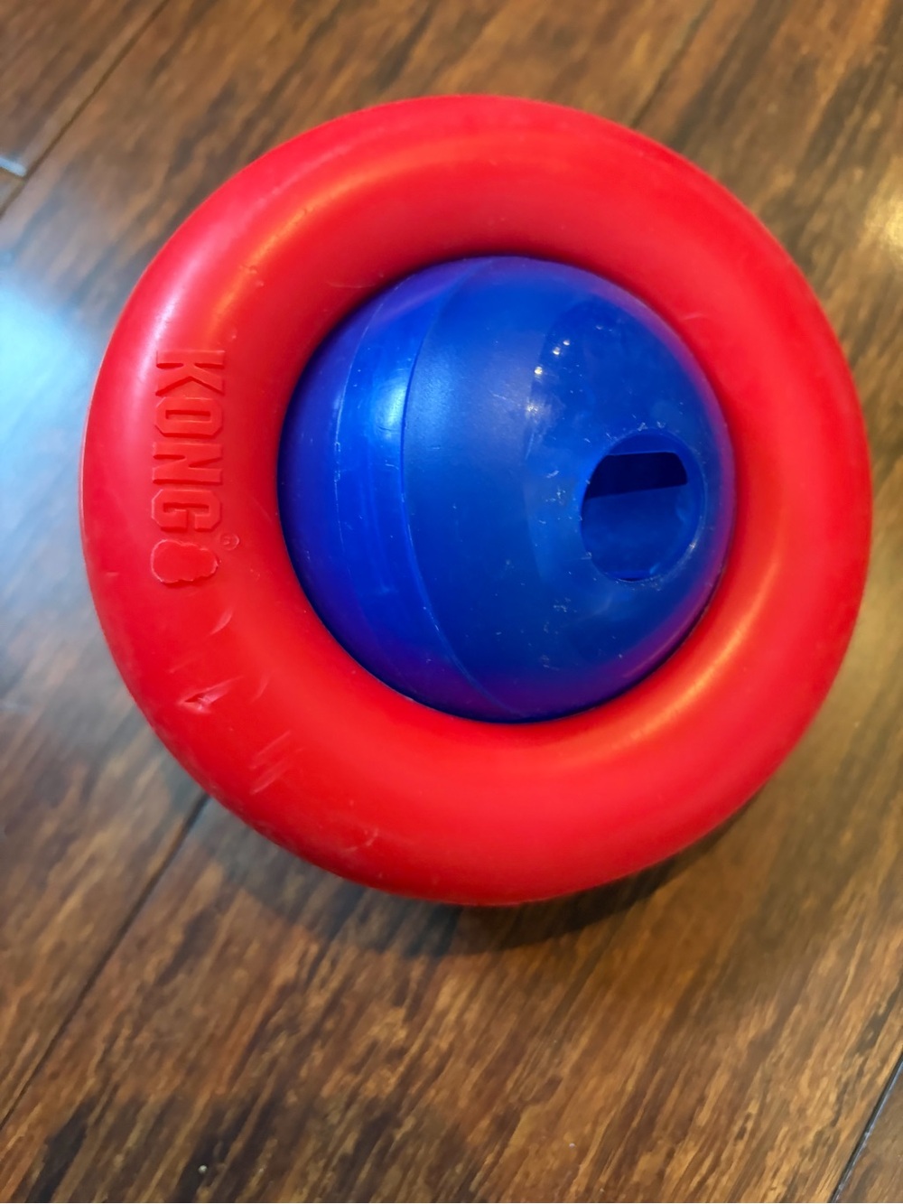 Large Kong gyro treat dispenser